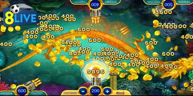 Bắn cá Disco là gì?